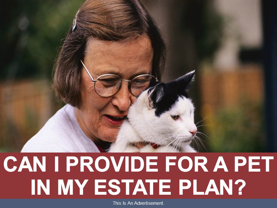 Can I Provide for a Pet in My Estate Plan